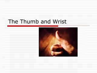 The Thumb and Wrist