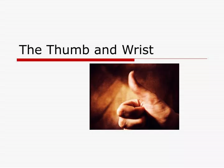 the thumb and wrist