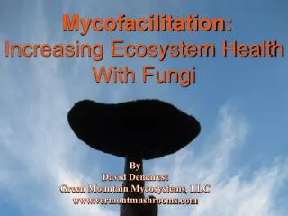 Mycofacilitation : Increasing Ecosystem Health With Fungi