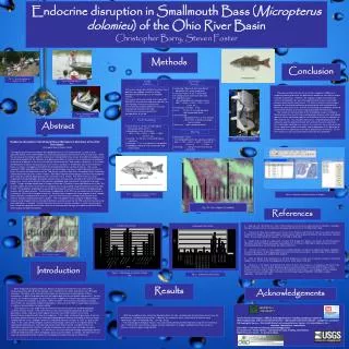 Endocrine disruption in Smallmouth Bass ( Micropterus dolomieu ) of the Ohio River Basin Christopher Barry, Steven Foste