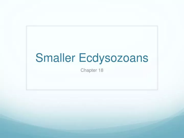smaller ecdysozoans