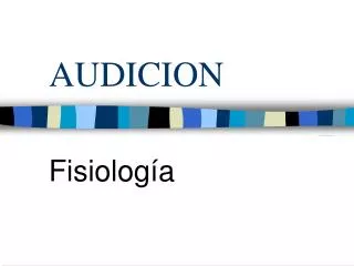 audicion