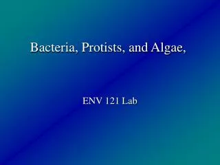 Bacteria, Protists, and Algae,