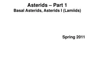 Asterids – Part 1 Basal Asterids, Asterids I (Lamiids)