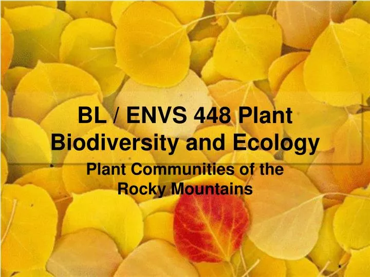 bl envs 448 plant biodiversity and ecology