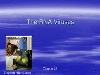 The RNA Viruses