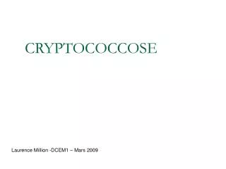 cryptococcose