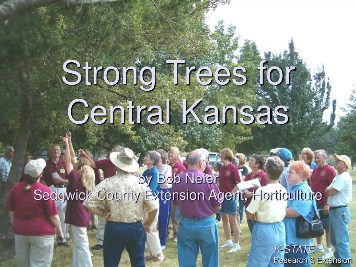 strong trees for central kansas by bob neier sedgwick county extension agent horticulture