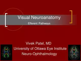Visual Neuroanatomy Efferent Pathways
