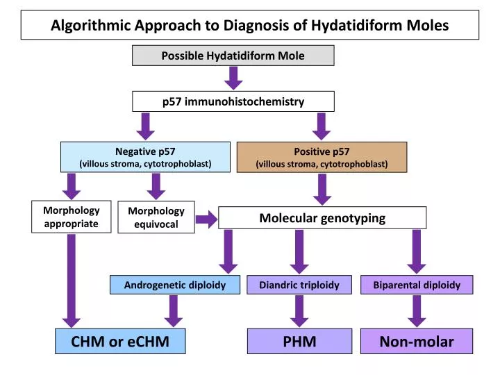 algorithmic approach to diagnosis of hydatidiform moles