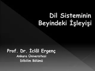 dil sisteminin beyindeki leyi i