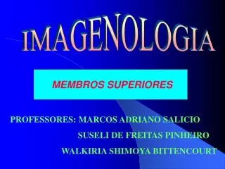 MEMBROS SUPERIORES