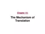 Chapter 14: The Mechanism of Translation - slide 1
