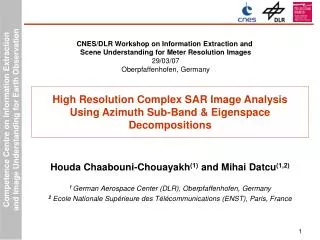 High Resolution Complex SAR Image Analysis Using Azimuth Sub-Band &amp; Eigenspace Decompositions