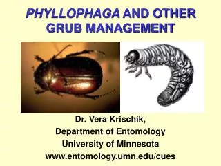 PHYLLOPHAGA AND OTHER GRUB MANAGEMENT