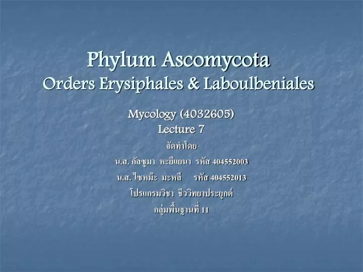 phylum ascomycota orders erysiphales laboulbeniales