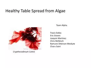 Healthy Table Spread from Algae