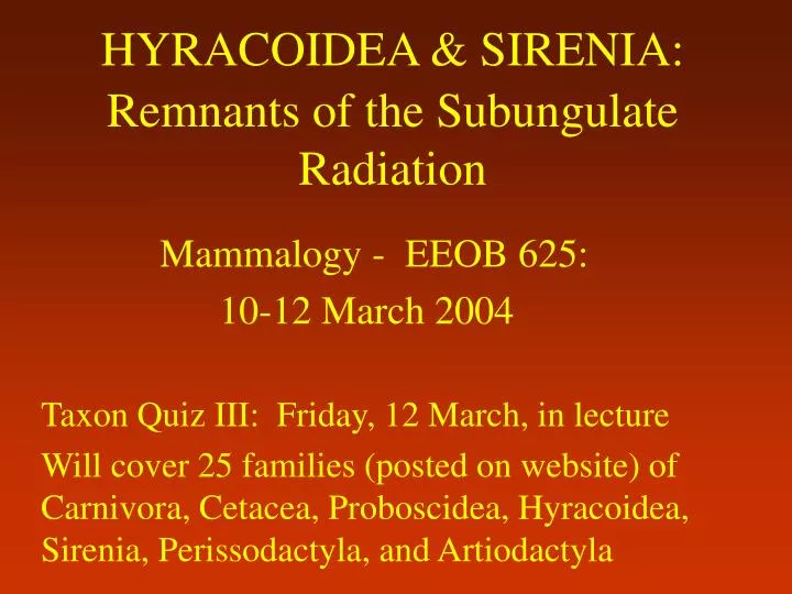 hyracoidea sirenia remnants of the subungulate radiation