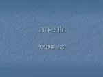 海洋生物 - slide 1
