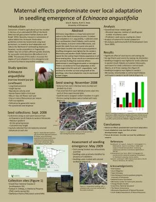 Maternal effects predominate over local adaptation in seedling emergence of Echinacea angustifolia Amy B. Dykstra, Ru