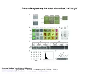 Stem cell engineering: limitation, alternatives, and insight