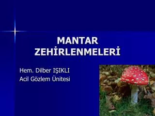 mantar zeh rlenmeler