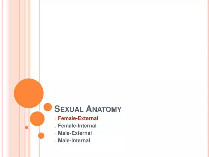 sexual anatomy