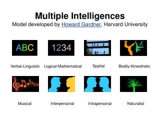 Multiple Intelligences Model developed by Howard Gardner , Harvard University