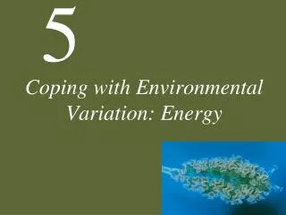 Coping with Environmental Variation: Energy