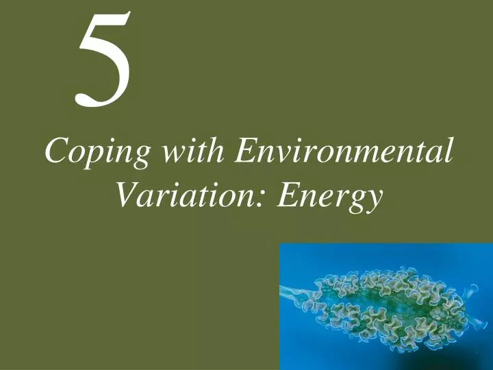 coping with environmental variation energy