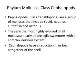 Phylum Mollusca , Class Cephalopods