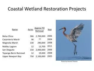 Coastal Wetland Restoration Projects