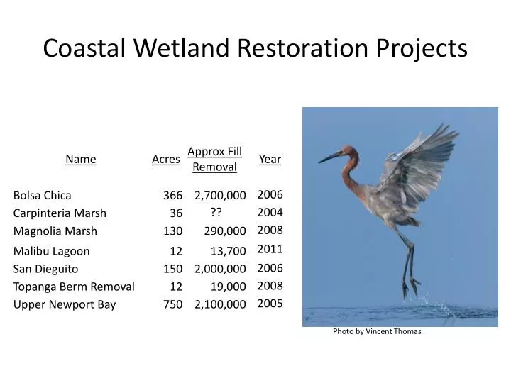 coastal wetland restoration projects