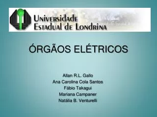 rg os el tricos