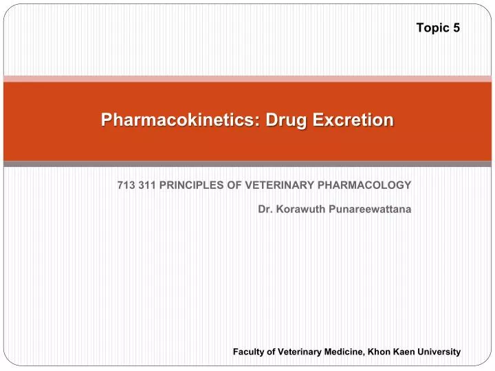 pharmacokinetics drug excretion