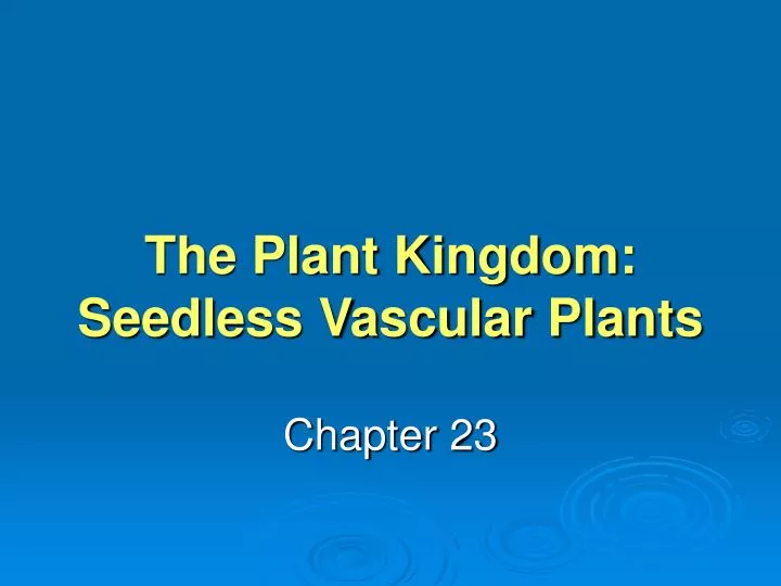 the plant kingdom seedless vascular plants