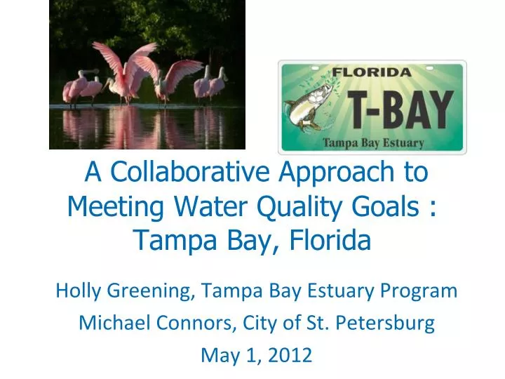 a collaborative approach to meeting water quality goals tampa bay florida