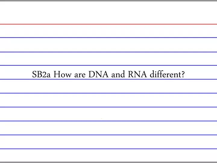 sb2a how are dna and rna different