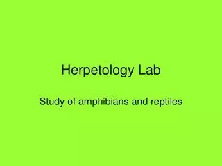 Herpetology Lab