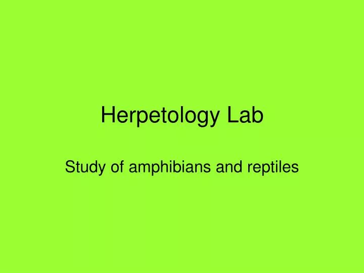 herpetology lab