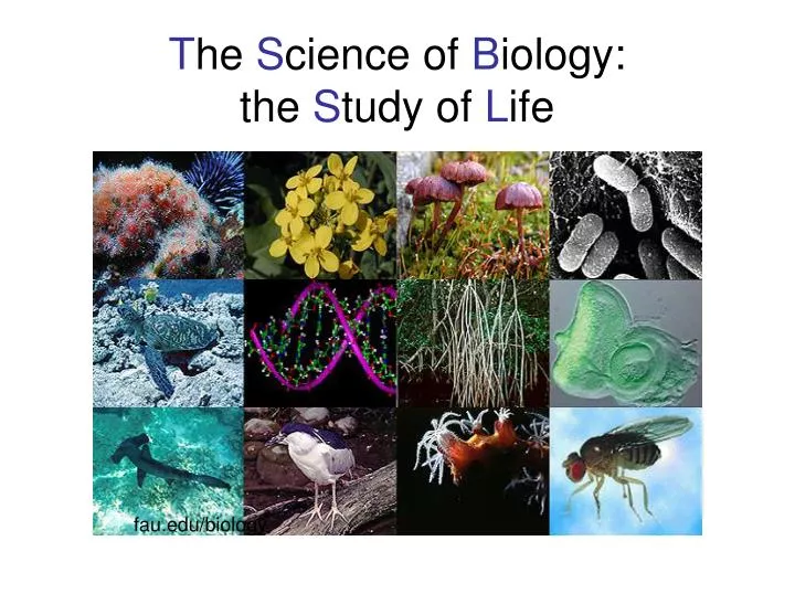 t he s cience of b iology the s tudy of l ife