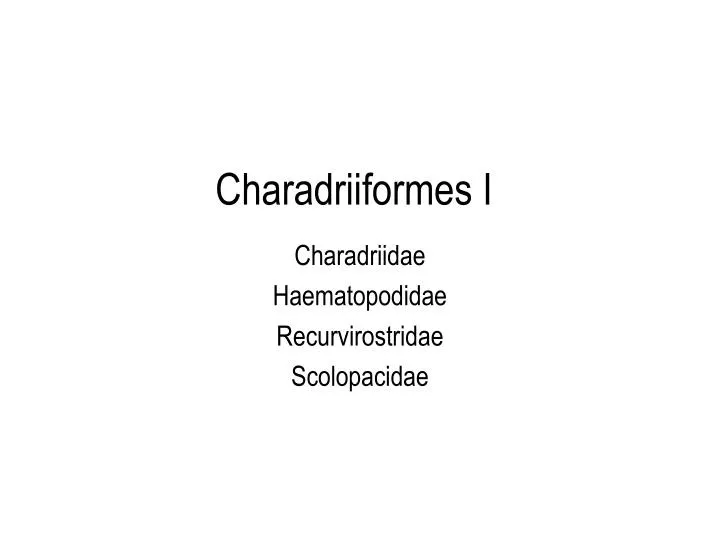 charadriiformes i