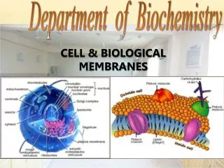 CELL &amp; BIOLOGICAL MEMBRANES Lecture-1 First Year, MBBS