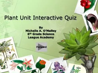 Plant Unit Interactive Quiz
