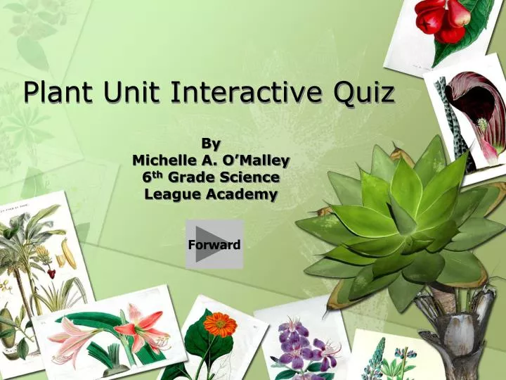 plant unit interactive quiz