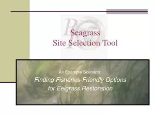 Seagrass Site Selection Tool