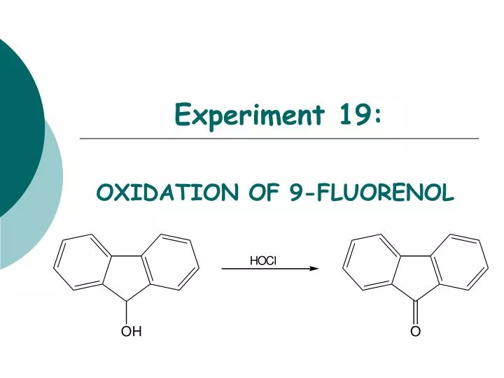 experiment 19