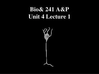 Bio&amp; 241 A&amp;P Unit 4 Lecture 1