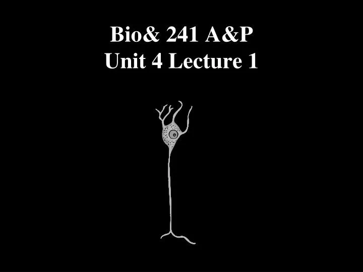 bio 241 a p unit 4 lecture 1
