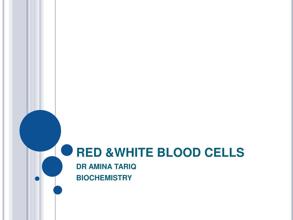 PPT - RED &WHITE BLOOD CELLS PowerPoint Presentation, free download ...